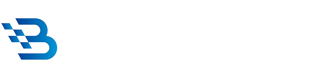 Bitviewasset